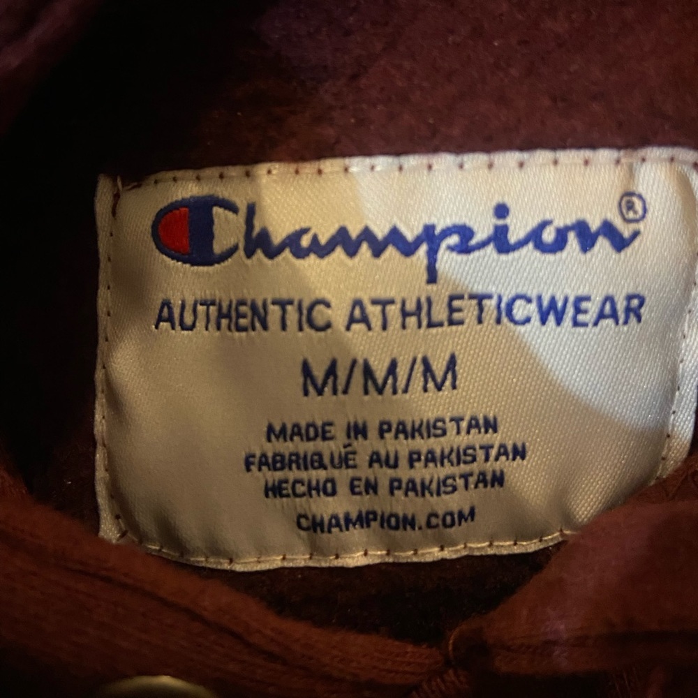 (SOLD) Mens Champion Spellout Hoodie - Picture 4 of 4